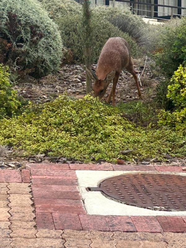 3 Bedroom Property for Sale in Pinnacle Point Golf Estate Western Cape